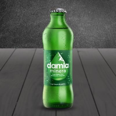 Soda (20 cl.)